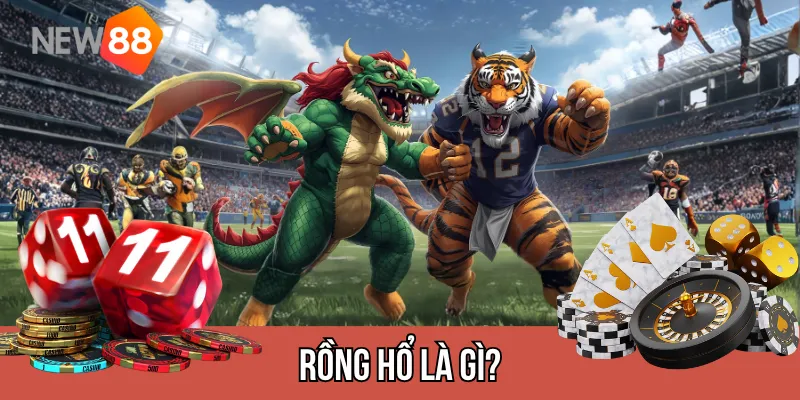 Rồng Hổ là gì?